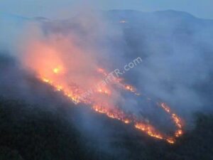 آتش سوزی در مناطق جنگلی ترکیه رخ داد